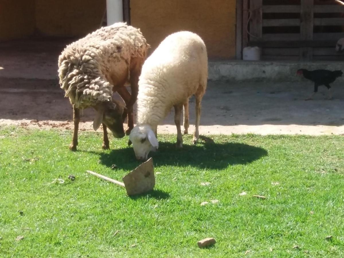 Molise Hotel Fazenda Серра-Негра Экстерьер фото